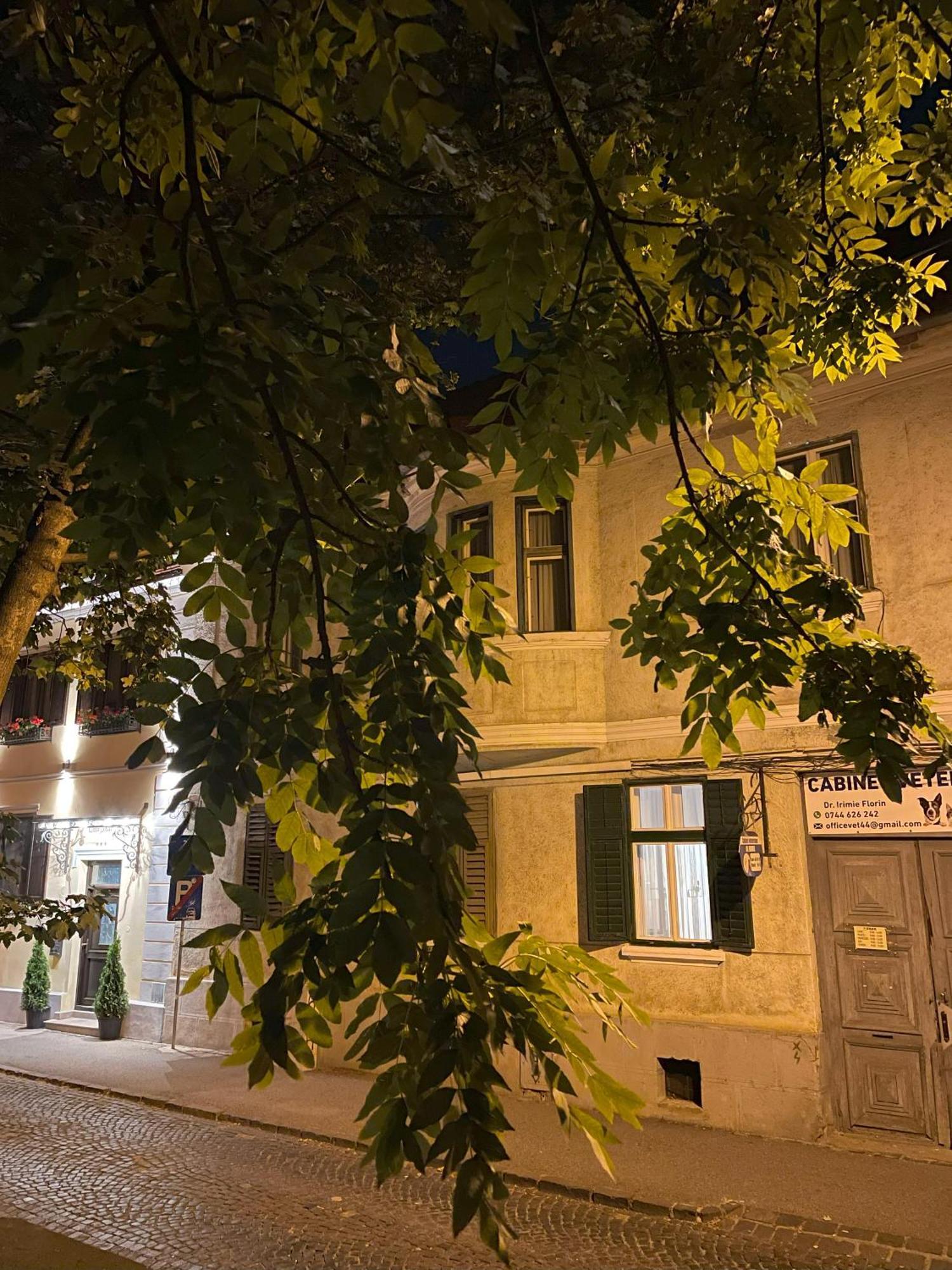 Studiopro44 Σίμπιου Εξωτερικό φωτογραφία